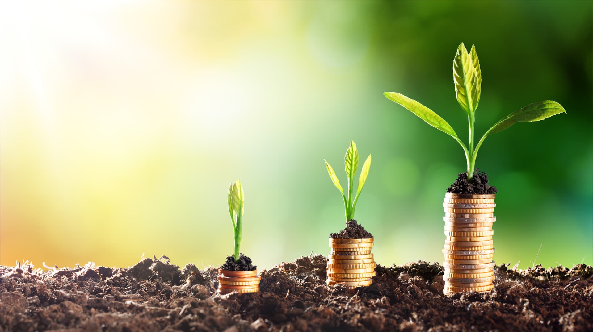 ESG sustainability finance credit loans