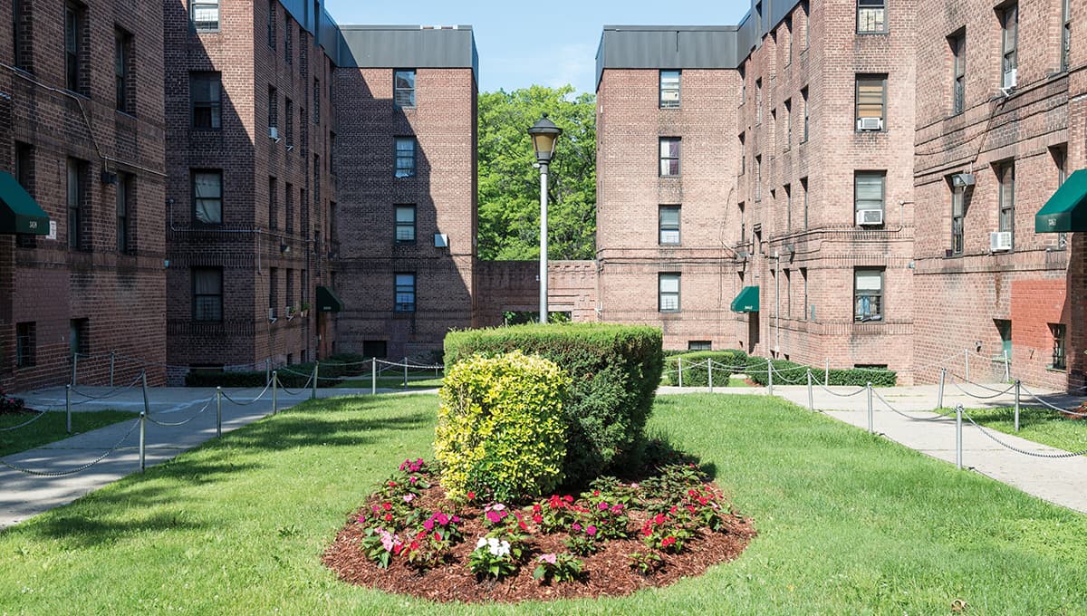 Taconic Eastchester Heights
