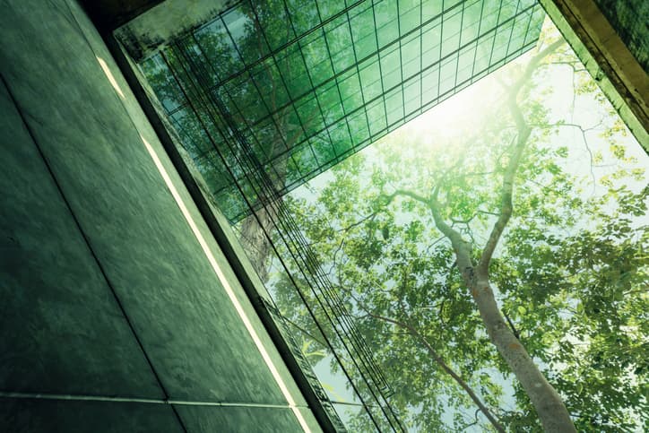 A large tree radiates green light onto the glass windows of a building.