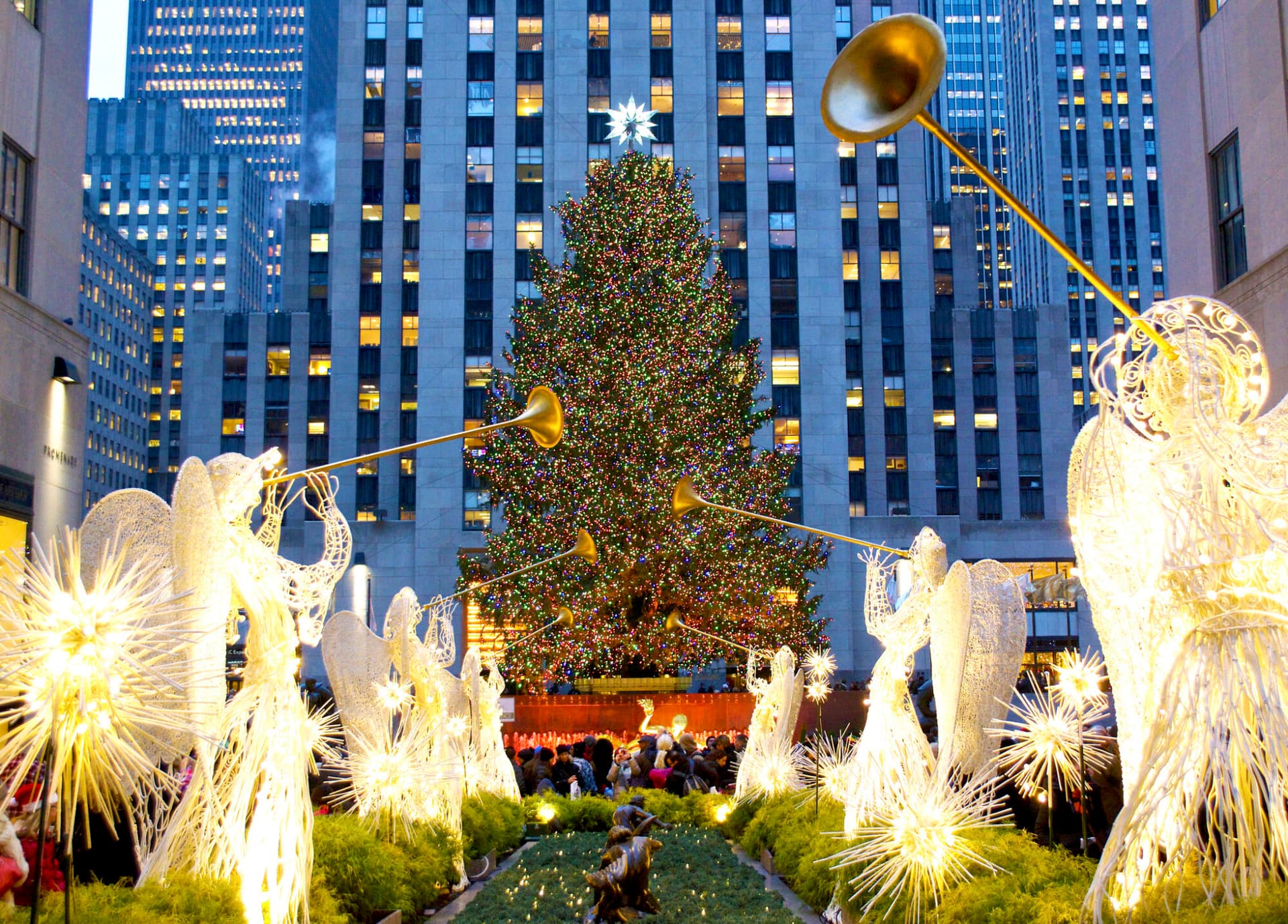 Image of the Christmas tree at Rockefeller Center.