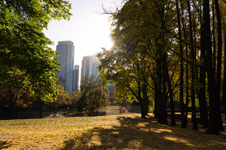 A beautiful landscape at Fort Greene Park with colorful trees and a view of skyscrapers in Fort Greene Brooklyn of New York City