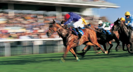 An action shot of a group of jockeys riding horses in a horserace