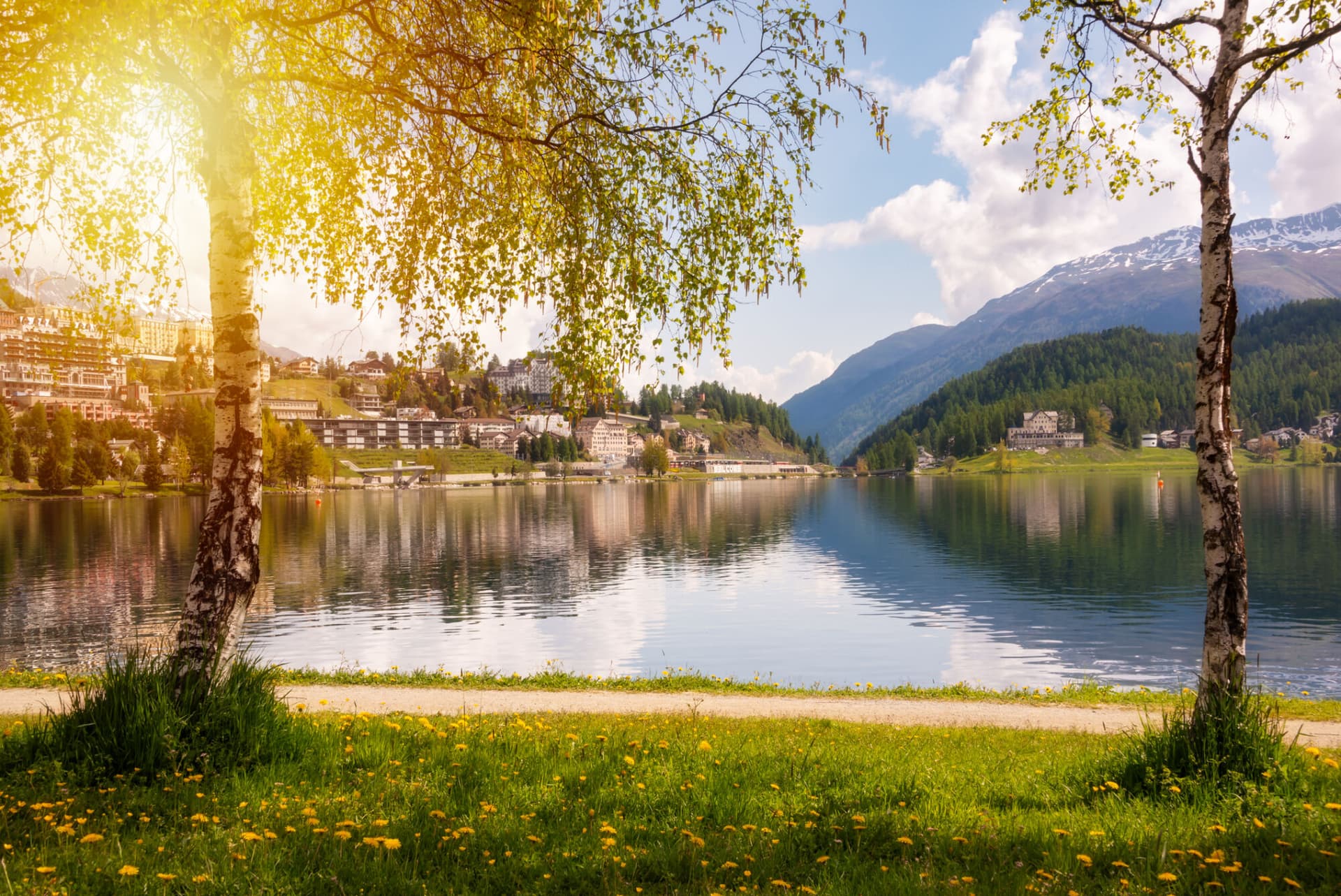 Image of a Swiss landscape.