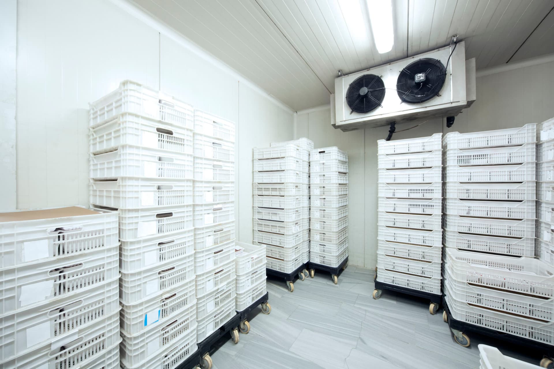 Image depicting a cold storage room.