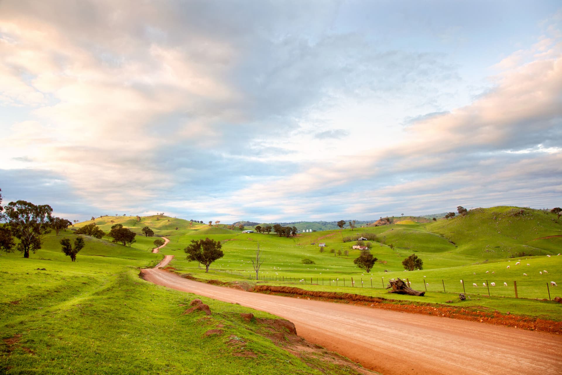 countryside