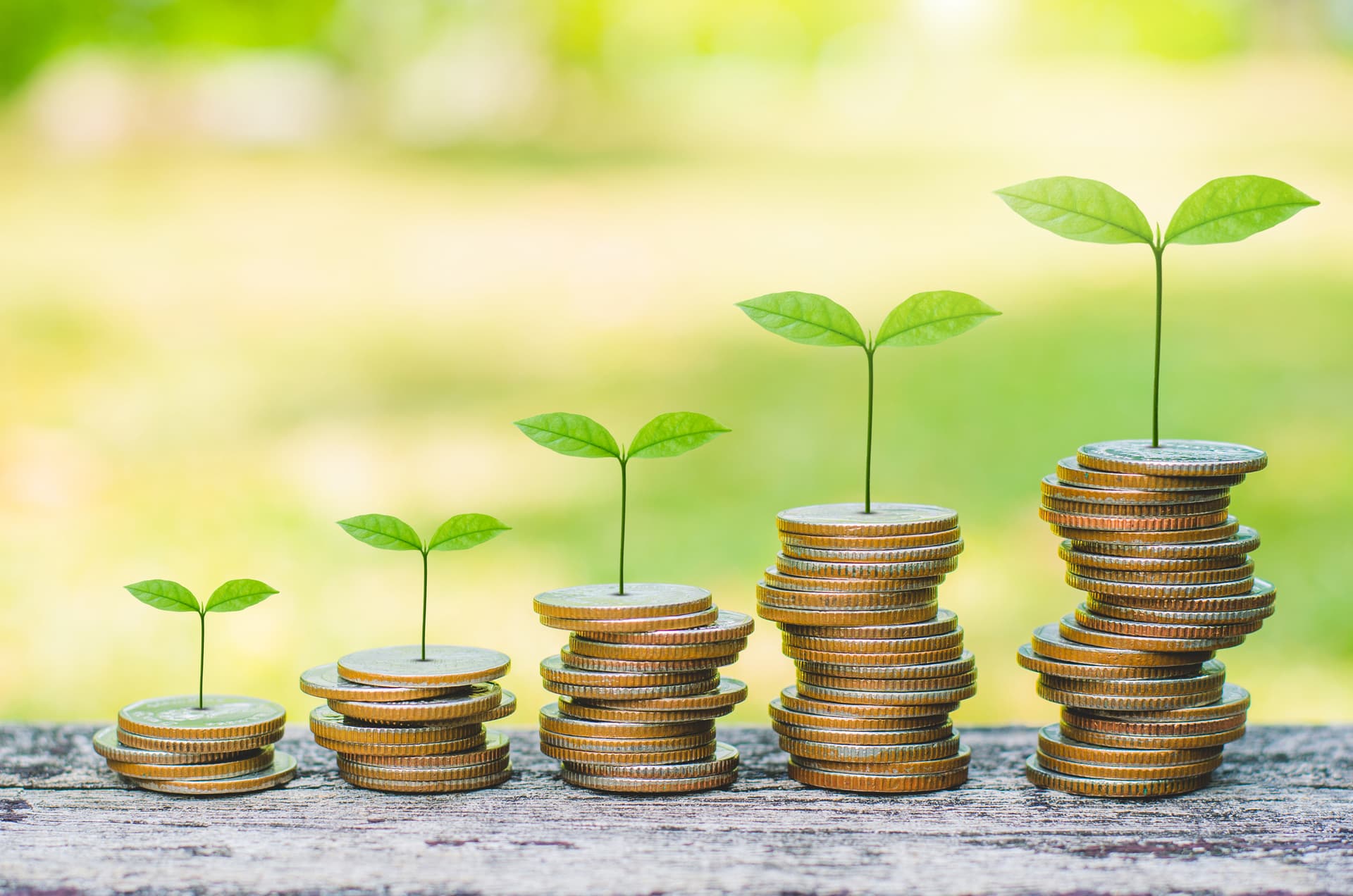 small green shoots on top of piles of coins