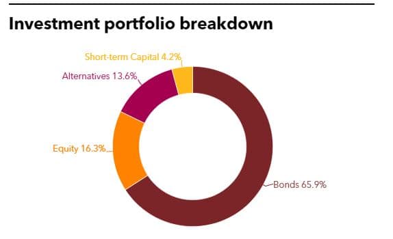 Investment portfolio breakdown of Yellow Umbrella