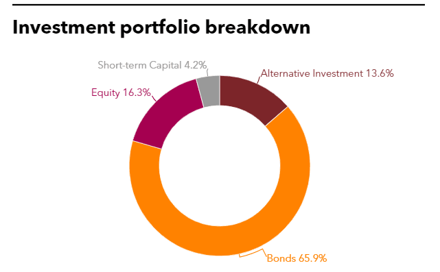 Investment portfolio breakdown of Yellow Umbrella