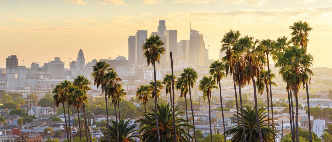 palm trees in front of the Los Angeles skyline