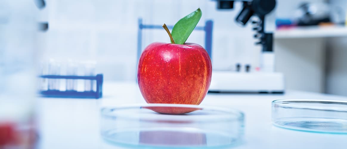 Genetic breeding of vegetables in lLaboratory , analyzing food quality,