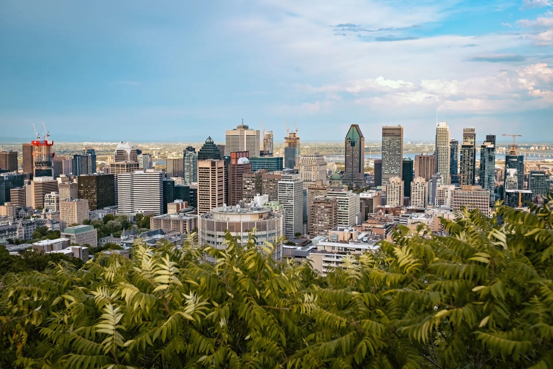 Montreal skyline, view from the Mont Royal viewpoint in Montreal, Quebec.